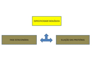 ESPECIFICIDADE BIOLÓGICA
FASE ESTACIONÁRIA ELUIÇÃO DAS PROTEÍNAS
 