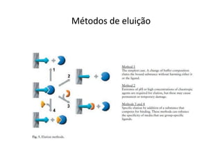 Métodos de eluição
 