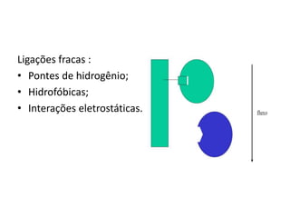 Ligações fracas :
• Pontes de hidrogênio;
• Hidrofóbicas;
• Interações eletrostáticas.
 