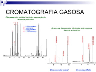CROMATOGRAFIA GASOSA 