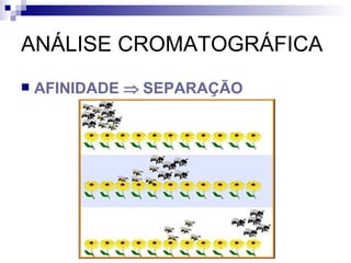 ANÁLISE CROMATOGRÁFICA AFINIDADE    SEPARAÇÃO 