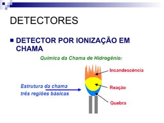 DETECTORES DETECTOR POR IONIZAÇÃO EM CHAMA 