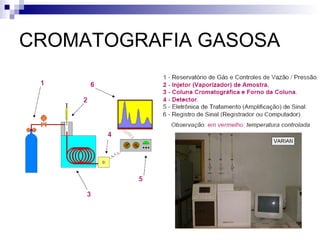 CROMATOGRAFIA GASOSA 