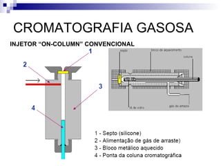 CROMATOGRAFIA GASOSA INJETOR “ON-COLUMN” CONVENCIONAL 