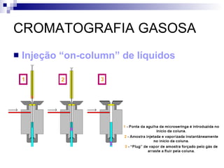 CROMATOGRAFIA GASOSA Injeção “on-column” de líquidos 