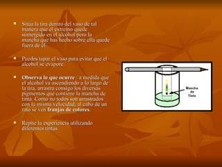 Sitúa la tira dentro del vaso de tal manera que el extremo quede sumergido en el alcohol pero la mancha que has hecho sobre ella quede fuera de él.  Puedes tapar el vaso para evitar que el alcohol se evapore.  Observa lo que ocurre  : a medida que el alcohol va ascendiendo a lo largo de la tira, arrastra consigo los diversas pigmentos que contiene la mancha de tinta. Como no todos son arrastrados con la misma velocidad, al cabo de un rato se ven  franjas de colores .  Repite la experiencia utilizando diferentes tintas.  