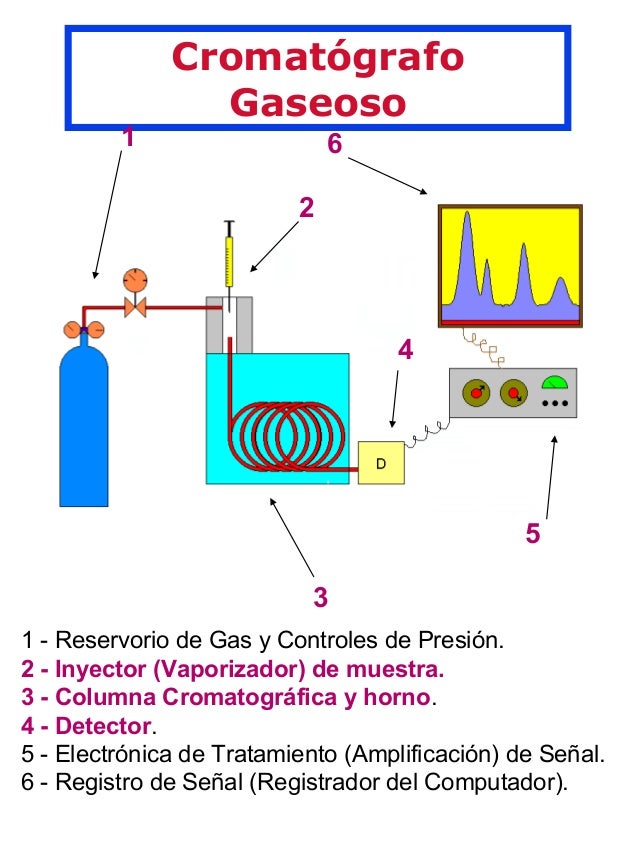 Cromatografia De Gases