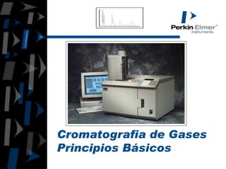 Cromatografia gases point