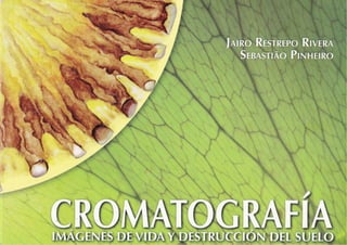 Cromatografia - imagenes de vida y destruccion del suelo