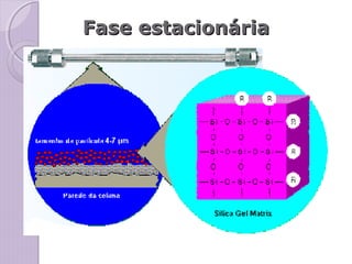 Fase estacionáriaFase estacionária
 