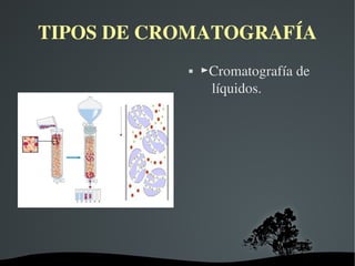 TIPOS DE CROMATOGRAFÍA
►Cromatografía de
líquidos.