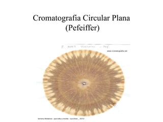 Cromatografia Circular Plana
(Pefeiffer)
 