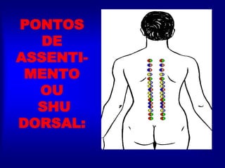 PONTOS
DE
ASSENTI-
MENTO
OU
SHU
DORSAL:
 