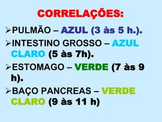 CORRELAÇÕES:
PULMÃO – AZUL (3 às 5 h.).
INTESTINO GROSSO – AZUL
CLARO (5 às 7h).
ESTOMAGO – VERDE (7 às 9
h).
BAÇO PANCREAS – VERDE
CLARO (9 às 11 h)
 