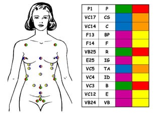 P1 P
VC17 CS
VC14 C
F13 BP
F14 F
VB25 R
E25 IG
VC5 TA
VC4 ID
VC3 B
VC12 E
VB24 VB
 