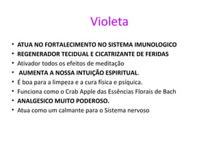 Violeta
• ATUA NO FORTALECIMENTO NO SISTEMA IMUNOLOGICO
• REGENERADOR TECIDUAL E CICATRIZANTE DE FERIDAS
• Ativador todos os efeitos de meditação
• AUMENTA A NOSSA INTUIÇÃO ESPIRITUAL.
• É boa para a limpeza e a cura física e psíquica.
• Funciona como o Crab Apple das Essências Florais de Bach
• ANALGESICO MUITO PODEROSO.
• Atua como um calmante para o Sistema nervoso
 