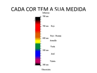 CADA COR TEM A SUA MEDIDA
 