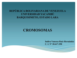 REPÚBLICA BOLIVARIANA DE VENEZUELA
UNIVERSIDAD YACAMBÚ
BARQUISIMETO, ESTADO LARA

CROMOSOMAS
Indira Vanessa Ruíz Hernández
C. I. Nº 20.617.298

 