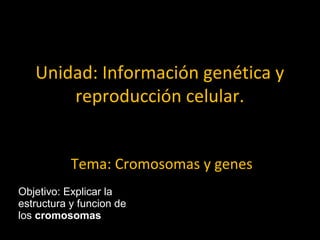 Unidad: Información genética y
       reproducción celular.


           Tema: Cromosomas y genes
Objetivo: Explicar la
estructura y funcion de
los cromosomas
 