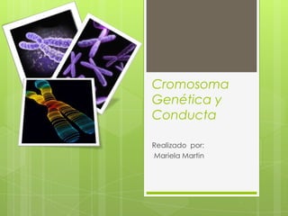 Cromosoma
Genética y
Conducta
Realizado por:
Mariela Martin
 
