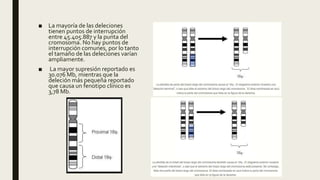 ■ La mayoría de las deleciones
tienen puntos de interrupción
entre 45.405.887 y la punta del
cromosoma. No hay puntos de
interrupción comunes, por lo tanto
el tamaño de las deleciones varían
ampliamente.
■ La mayor supresión reportado es
30.076 Mb, mientras que la
deleción más pequeña reportado
que causa un fenotipo clínico es
3,78 Mb.
 