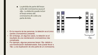 ■ La pérdida de parte del brazo
corto del cromosoma causa el
18p-. La deleción puede incluir
el brazo entero del
cromosoma 18 o sólo una
parte de éste.
• En la mayoría de las personas, la deleción es el único
cambio cromosómico presente.
• Sin embargo, en algunos casos, la deleción es el
resultado de una reordenación cromosómica más
complicada.
• Por ejemplo, algunas personas tienen 18p- debido a
una translocación desbalanceada. Esto puede llevar a
18p- y una duplicación de otra parte de un cromosoma.
 