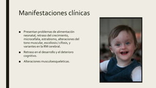Manifestaciones clínicas
■ Presentan problemas de alimentación
neonatal, retraso del crecimiento,
microcefalia, estrabismo, alteraciones del
tono muscular, escoliosis / cifosis, y
variantes en la RM cerebral.
■ Retraso en el desarrollo y el deterioro
cognitivo.
■ Alteraciones musculoesqueleticas.
 