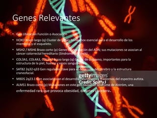El Cromosoma 2 Humano: Historia Evolutiva, Genes Clave y Su Impacto en ...