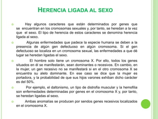 HERENCIA LIGADA AL SEXO 
 Hay algunos caracteres que están determinados por genes que 
se encuentran en los cromosomas sexuales y, por tanto, se heredan a la vez 
que el sexo. El tipo de herencia de estos caracteres se denomina herencia 
ligada al sexo. 
 Algunas enfermedades que padece la especie humana se deben a la 
presencia de algún gen defectuoso en algún cromosoma. Si el gen 
defectuoso se localiza en un cromosoma sexual, las enfermedades a que dé 
lugar se heredan ligadas el sexo. 
 El hombre solo tiene un cromosoma X. Por ello, todos los genes 
situados en él se manifestarán, sean dominantes o recesivos. En cambio, en 
la mujer, un gen recesivo no se manifestará si en el otro cromosoma X se 
encuentra su alelo dominante. En ese caso se dice que la mujer es 
portadora, y la probabilidad de que sus hijos varones exhiban dicho carácter 
es del 50%. 
 Por ejemplo, el daltonismo, un tipo de distrofia muscular y la hemofilia 
son enfermedades determinadas por genes en el cromosoma X y, por tanto, 
se heredan ligadas al sexo. 
 Ambas anomalías se producen por sendos genes recesivos localizados 
en el cromosoma X. 
 