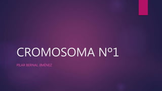 CROMOSOMA Nº1
PILAR BERNAL JIMÉNEZ
 