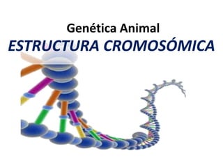 ESTRUCTURA CROMOSÓMICA
Genética Animal
 