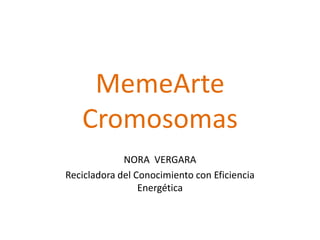MemeArteCromosomas NORA  VERGARA Recicladora del Conocimiento con Eficiencia Energética 