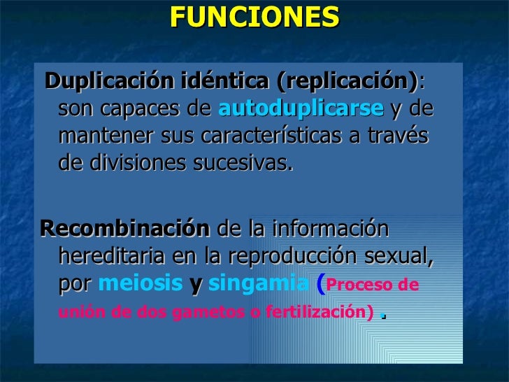 Cromosomas