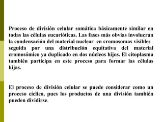 Proceso de división celular somática básicamente similar en
todas las células eucarióticas. Las fases más obvias involucran
la condensación del material nuclear en cromosomas visibles
seguida por una distribución equitativa del material
cromosómico ya duplicado en dos núcleos hijos. El citoplasma
también participa en este proceso para formar las células
hijas.
El proceso de división celular se puede considerar como un
proceso cíclico, pues los productos de una división también
pueden dividirse.
 