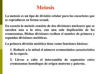 Meiosis
La meiosis es un tipo de división celular para los eucariotes que
se reproducen en forma sexual.
En esencia la meiosis consiste de dos divisiones nucleares que se
suceden una a la otra, con una sola duplicación de los
cromosomas. Dichas divisiones reciben el nombre de primera y
segundas divisiones meióticas.
La primera división meiótica tiene como funciones básicas:
1. Reducir a la mitad el número cromosómico característico
de la especie.
2. Llevar a cabo el intercambio de segmentos entre
cromosomas homólogos de origen materno y paterno.
 