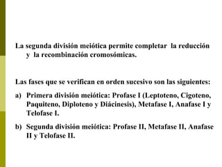 La segunda división meiótica permite completar la reducción
y la recombinación cromosómicas.
Las fases que se verifican en orden sucesivo son las siguientes:
a) Primera división meiótica: Profase I (Leptoteno, Cigoteno,
Paquiteno, Diploteno y Diácinesis), Metafase I, Anafase I y
Telofase I.
b) Segunda división meiótica: Profase II, Metafase II, Anafase
II y Telofase II.
 