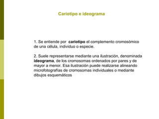 Cariotipo e ideograma
1. Se entiende por cariotipo el complemento cromosómico
de una célula, individuo o especie.
2. Suele representarse mediante una ilustración, denominada
ideograma, de los cromosomas ordenados por pares y de
mayor a menor. Esa ilustración puede realizarse alineando
microfotografías de cromosomas individuales o mediante
dibujos esquemáticos
 
