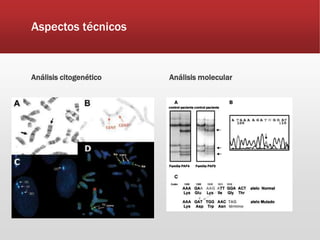 Aspectos técnicos
Análisis citogenético Análisis molecular
 