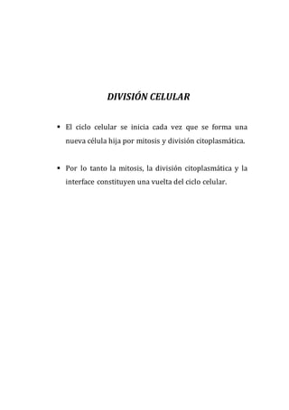 DIVISIÓN CELULAR
 El ciclo celular se inicia cada vez que se forma una
nueva célula hija por mitosis y división citoplasmática.
 Por lo tanto la mitosis, la división citoplasmática y la
interface constituyen una vuelta del ciclo celular.
 