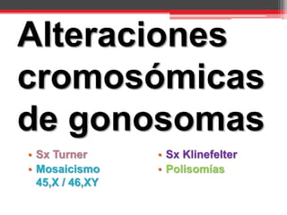 • Sx Turner
• Mosaicismo
45,X / 46,XY
• Sx Klinefelter
• Polisomías
Alteraciones
cromosómicas
de gonosomas
 