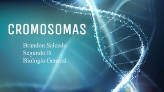 Brandon Salcedo
Segundo B
Biología General
CROMOSOMAS
 