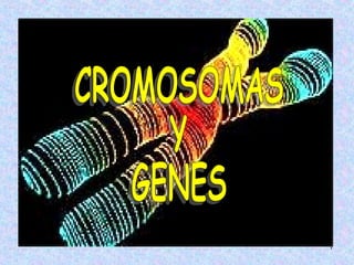 CROMOSOMAS Y GENES 