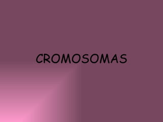 CROMOSOMAS 
