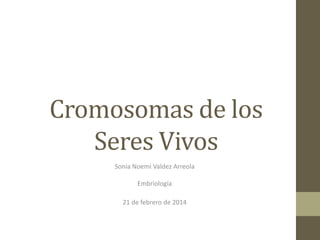 Cromosomas de los
Seres Vivos
Sonia Noemi Valdez Arreola
Embriología
21 de febrero de 2014
 