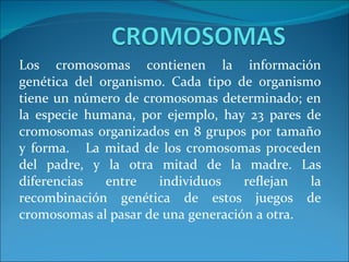Los cromosomas contienen la información genética del organismo. Cada tipo de organismo tiene un número de cromosomas determinado; en la especie humana, por ejemplo, hay 23 pares de cromosomas organizados en 8 grupos por tamaño y forma.  La mitad de los cromosomas proceden del padre, y la otra mitad de la madre. Las diferencias entre individuos reflejan la recombinación genética de estos juegos de cromosomas al pasar de una generación a otra. 