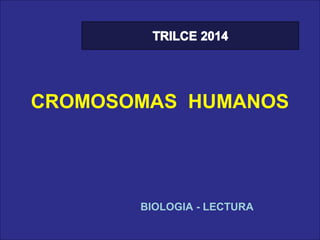 CROMOSOMAS HUMANOS

BIOLOGIA - LECTURA

 