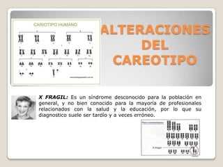 ALTERACIONES
DEL
CAREOTIPO
X FRAGIL: Es un síndrome desconocido para la población en
general, y no bien conocido para la mayoría de profesionales
relacionados con la salud y la educación, por lo que su
diagnostico suele ser tardío y a veces erróneo.
 