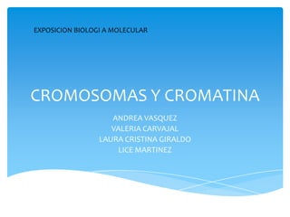 EXPOSICION BIOLOGI A MOLECULAR

CROMOSOMAS Y CROMATINA
ANDREA VASQUEZ
VALERIA CARVAJAL
LAURA CRISTINA GIRALDO
LICE MARTINEZ

 