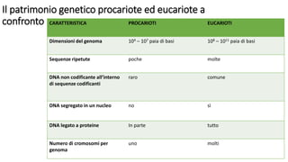 Il patrimonio genetico procariote ed eucariote a
confronto CARATTERISTICA PROCARIOTI EUCARIOTI
Dimensioni del genoma 104 – 107 paia di basi 108 – 1011 paia di basi
Sequenze ripetute poche molte
DNA non codificante all’interno
di sequenze codificanti
raro comune
DNA segregato in un nucleo no sì
DNA legato a proteine In parte tutto
Numero di cromosomi per
genoma
uno molti
 