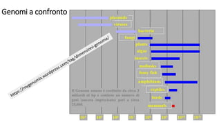 Genomi a confronto
 